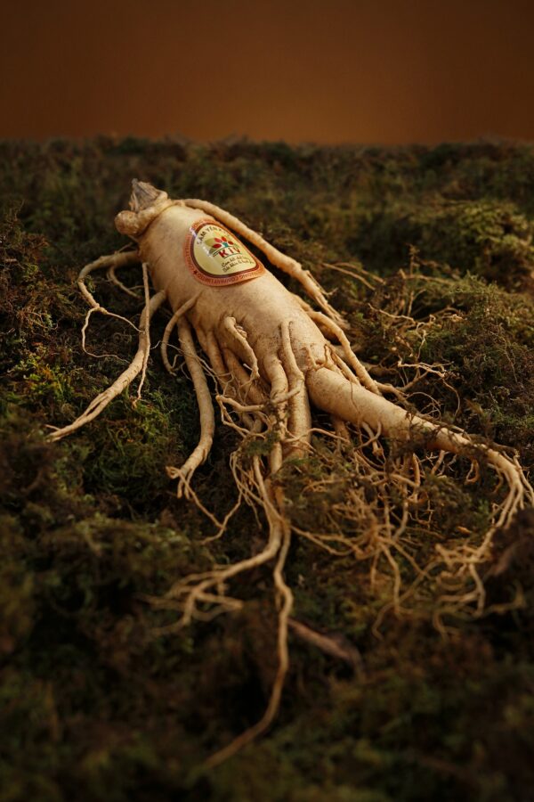 Asian ginseng, Red Ginseng, White Ginseng. Latin name Panax ginseng